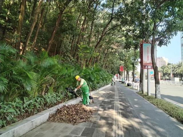 东莞：莞城园林精细化管理促城市品质再提升