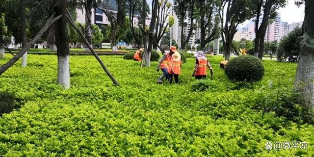 平凉宏鑫园林公司抢抓晴好天气忙校园绿化养护