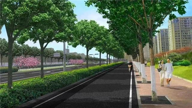 济南生态绿化项目｜美丽绿道建设、特色道路绿化、行道树品质提升篇