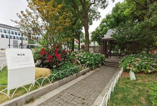 这个“私家花园”突然开放！上海有390座口袋公园，街拍打卡不输武康路
