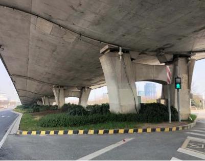 首批景观提升工程本月完工！相城高架桥下空间将大变样！