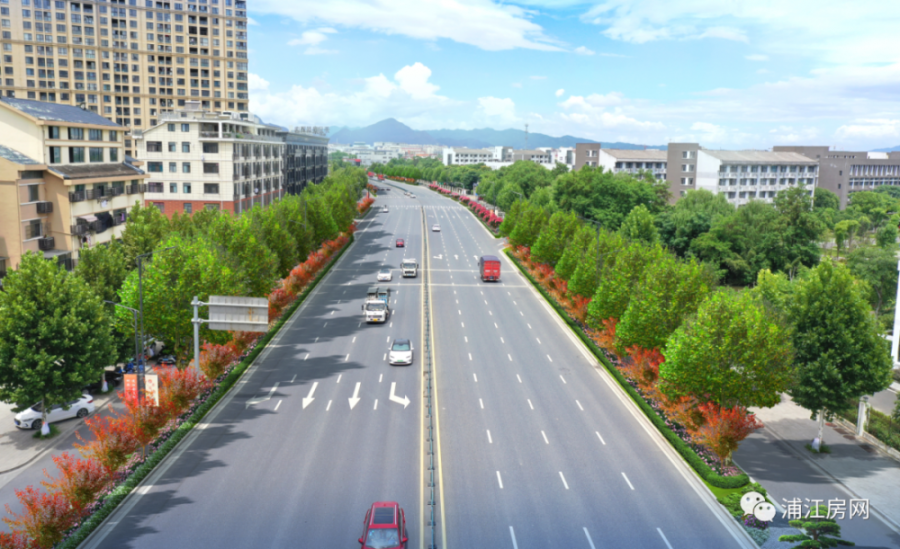 浦江这条路绿化带将要进行改造提升了…