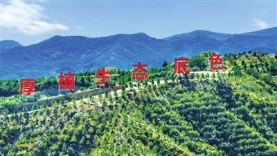 绿染并州织锦绣——科学绿化的太原实践