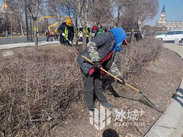 哈市将打造 10 条园林绿化示范街路