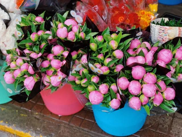 进入7月，这6种花，“再便宜”也别买，不是捡漏是踩坑，难养活