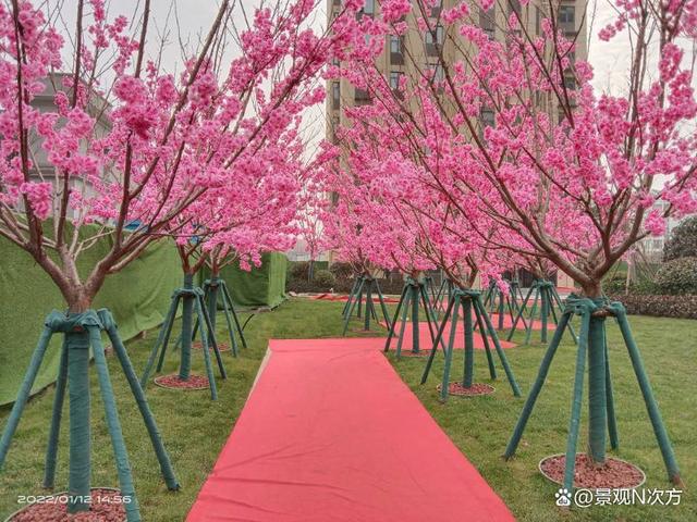 地产项目景观绿化关键点