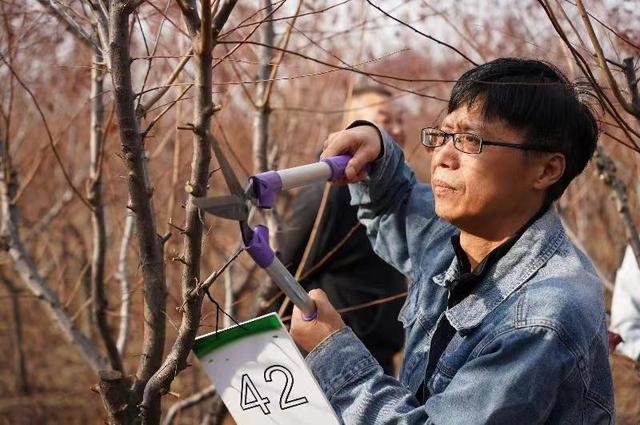 “匠心”大比拼 只为城市更美丽 市城管执法局举办园林绿化行业职工技能竞赛