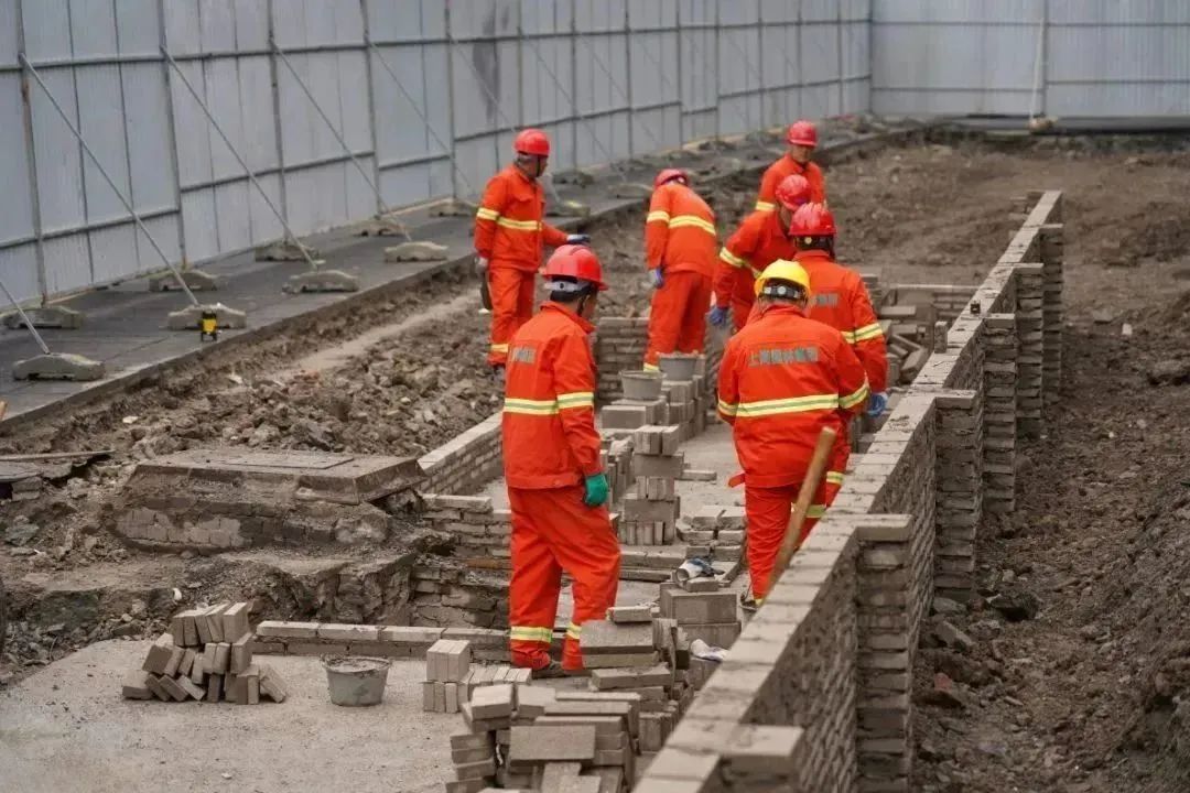 绿意回归！武宁南路沿线绿化恢复工程陆续启动