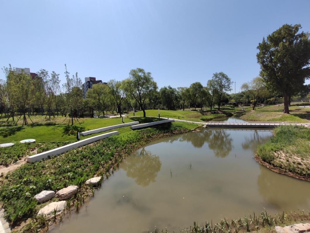 1300多公頃荒地變綠地 海澱區“揭網見綠”提升城市面貌