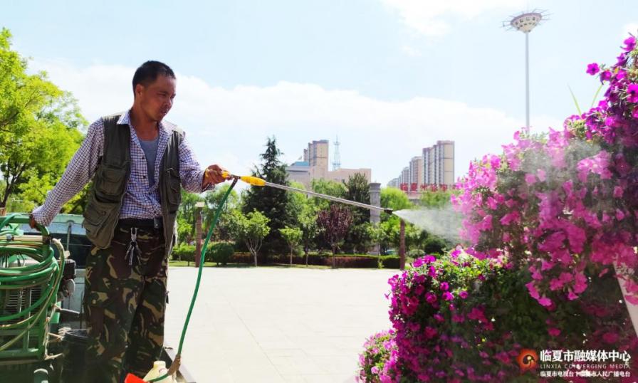 临夏市：不负夏日好时光 园林绿化养护忙