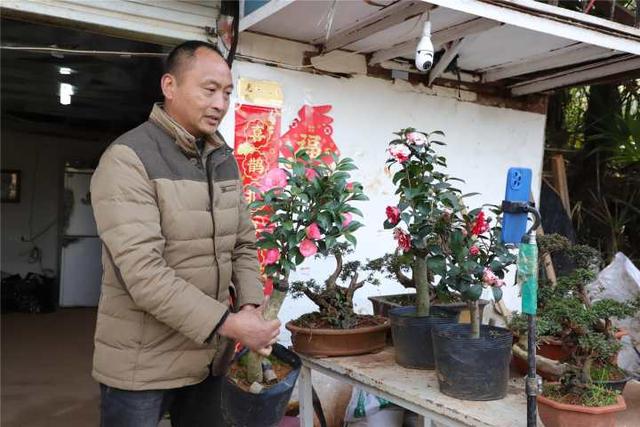 一次直播成交20多笔订单……金华村民 “十八般武艺”玩转苗木种植