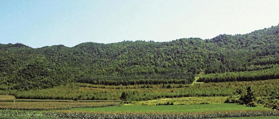 山川如锦入画来——白山市开展造林绿化保护生态环境工作综述