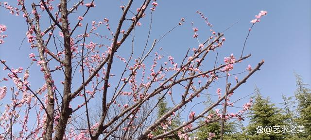 美丽的须水河滨河公园，红花绿柳，环境优美