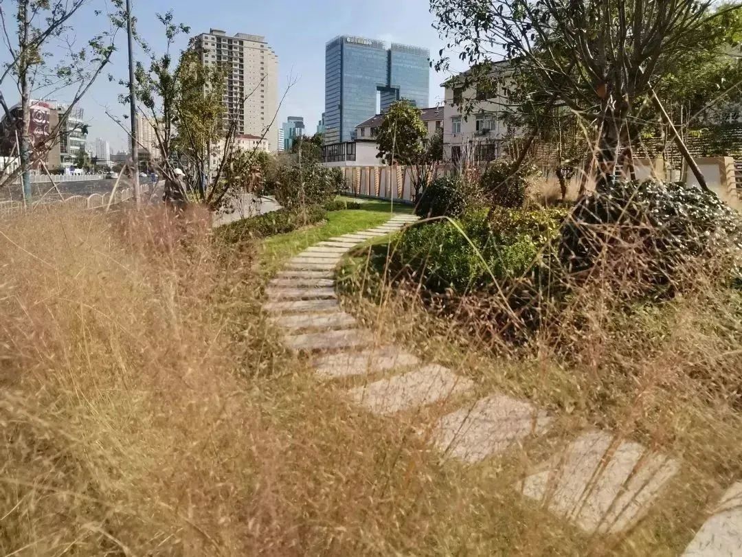 分享丨即将完工！一起坐上长宁这趟“公园列车”吧