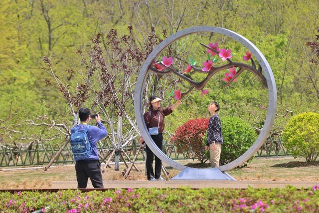 花韵缀城 园梦市南