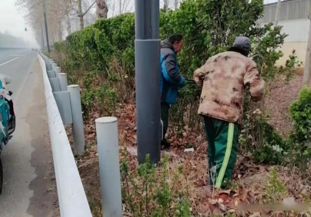 不负春色抓绿化 公路“梳妆”靓家园