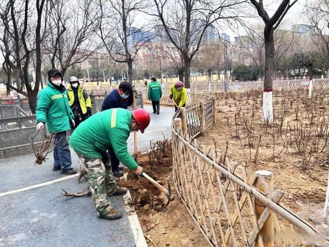 今年将绿化3公园1廊道10余条道路！巩义市“颜值”将再提升