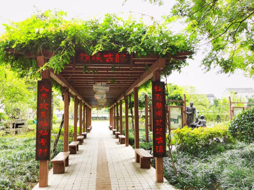 公园城市建设中的立体绿化，你知道哪些