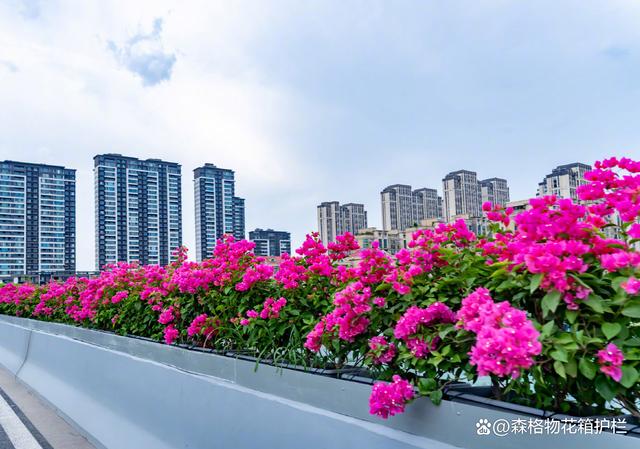 桥梁立体绿化高架桥花盆