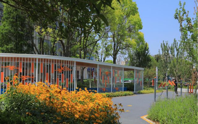 江苏泰州：一花一世界，一树一景观