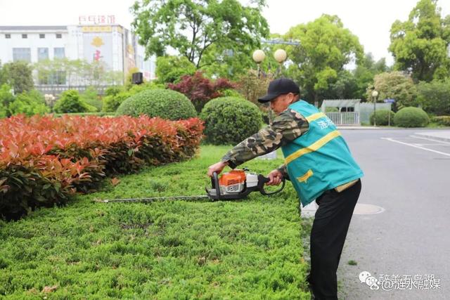 「民生」春季“梳妆”好时节 绿化工人养护忙