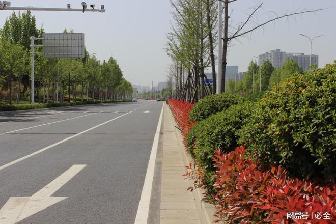 想打造美丽城市？学习这些城市绿化道路植物选择原则！
