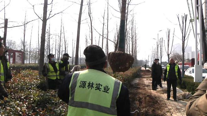 不负春日好时光 绿化造园施工忙