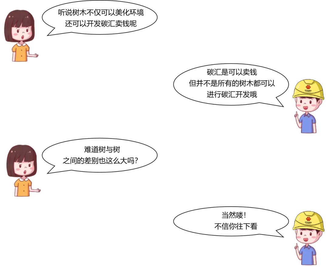 种树还能赚钱？一起来了解林业碳汇
