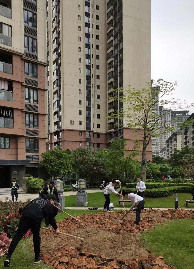 珠海万科“绿茵行动”提升业主幸福指数