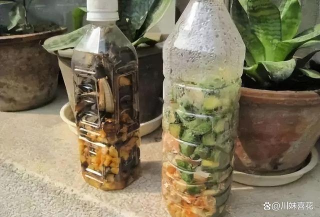 这几种被丢掉的垃圾，用来养花掺在土壤里，养啥花都旺