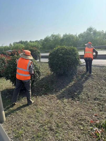 铜山公路站：修剪中分带绿化 营造良好通行环境