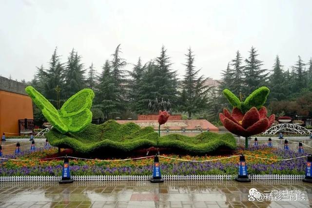三门峡：13.7万盆鲜花装扮城市迎“双节”