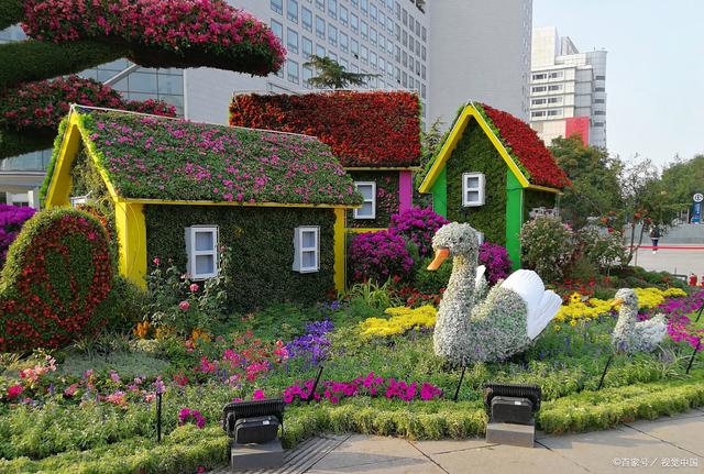 「会展管家」中国昆明国际花卉展