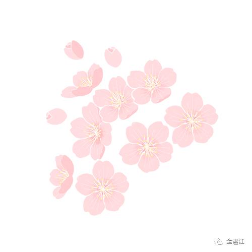 美！温江这个街区绿化升级大变样～