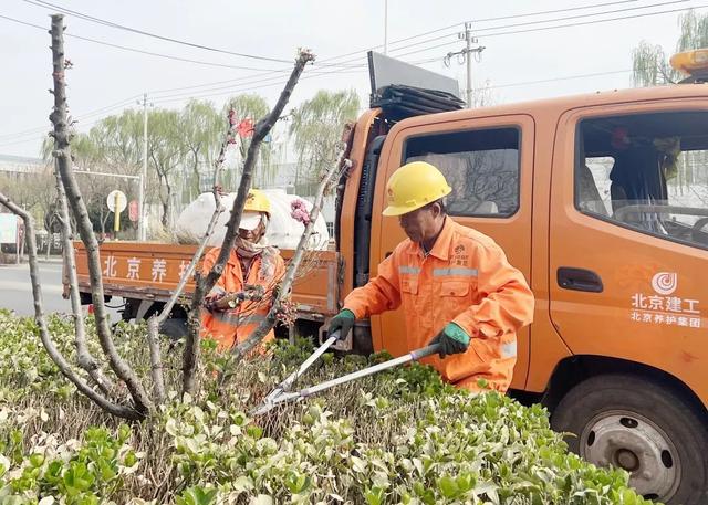 顺义开启公路绿化“梳妆焕颜”,扮靓城市更宜居 顺义开启公路绿化“梳妆焕颜”,扮靓城市更宜居