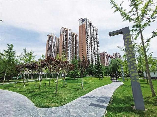 夯实金城生态底色 提升群众绿色福祉 市林业局五篇“绿文章”建设美丽宜居兰州