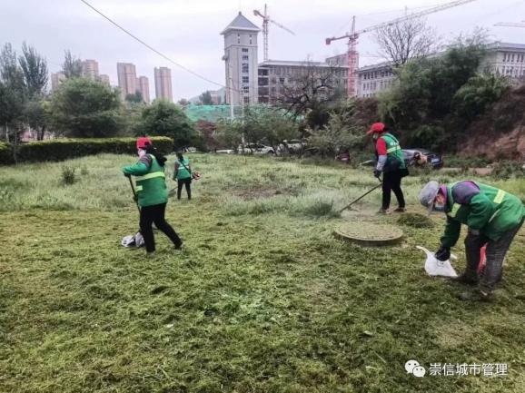 园林绿化整治不停步 城市景观形象再提升