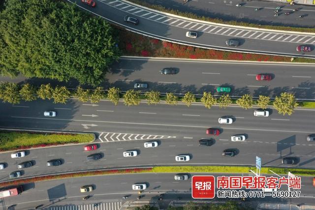 在南宁的绿化带里找春天，“这才是春天的样子”！