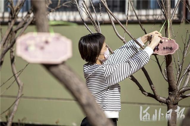 六大造林工程建设“绿美邯郸”