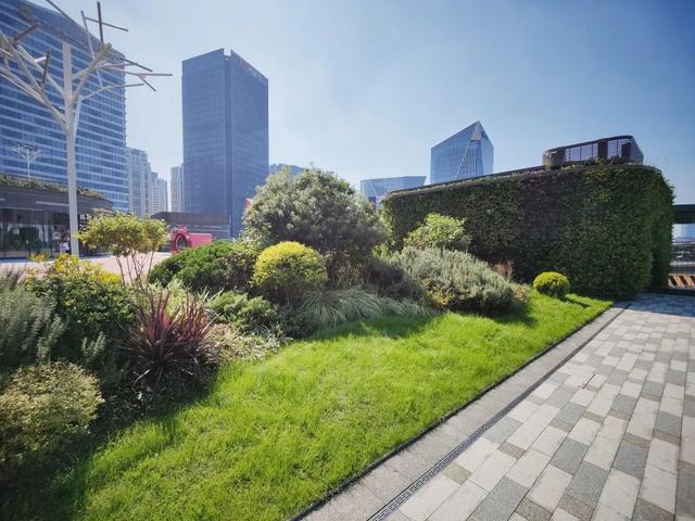  前滩着力构筑城市生态新景观，立体绿化融入时尚地标丨品质新生活
