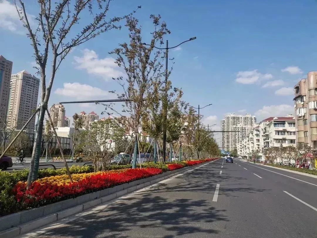 分享丨即将完工！一起坐上长宁这趟“公园列车”吧