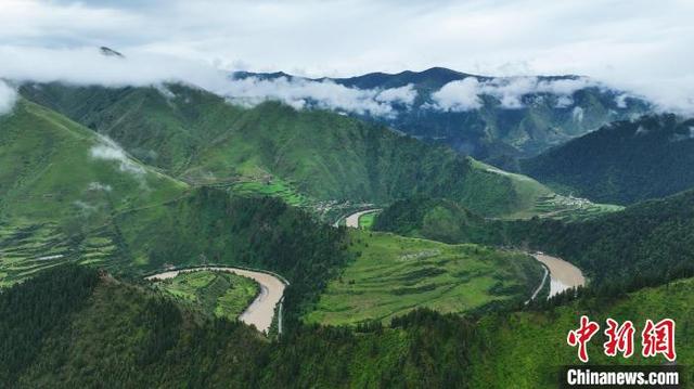 三江源果洛地区完成国土绿化近百万亩 草原植被覆盖度达62.1%