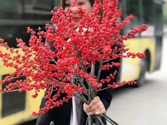 6种“娇贵花”，买之前要做好预算，不过再贵，入手一盆也不亏