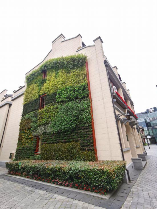 上海公园城市建设中的立体绿化，你知道哪些？