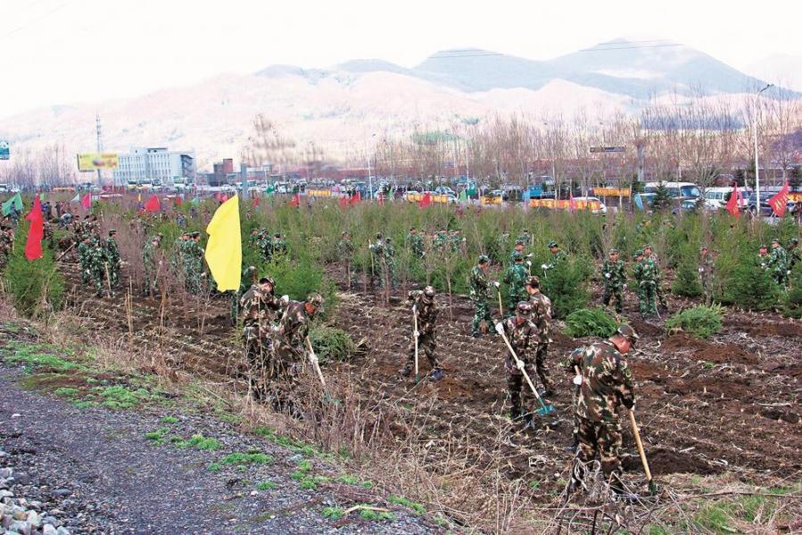 山川如锦入画来——白山市开展造林绿化保护生态环境工作综述