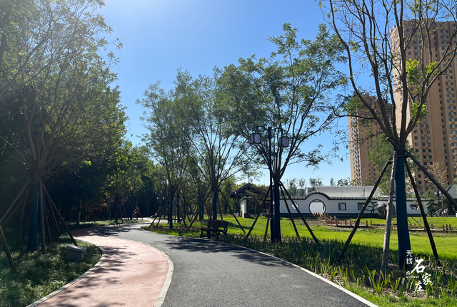 淡香墨染 芳华绽放——2022年美丽省会城市绿化项目塔南公园完工