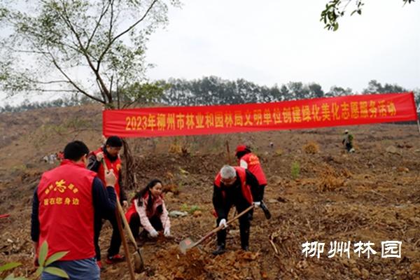 开展2023年新春珍贵树种义务植树活动