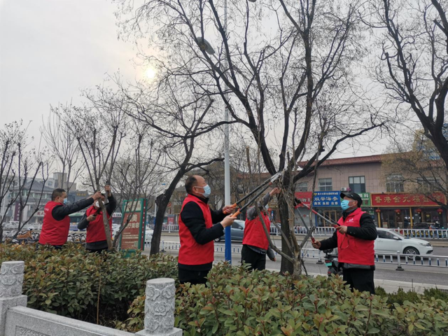 泰安“城市园丁”：帮扶提升社会绿化精细管理水平