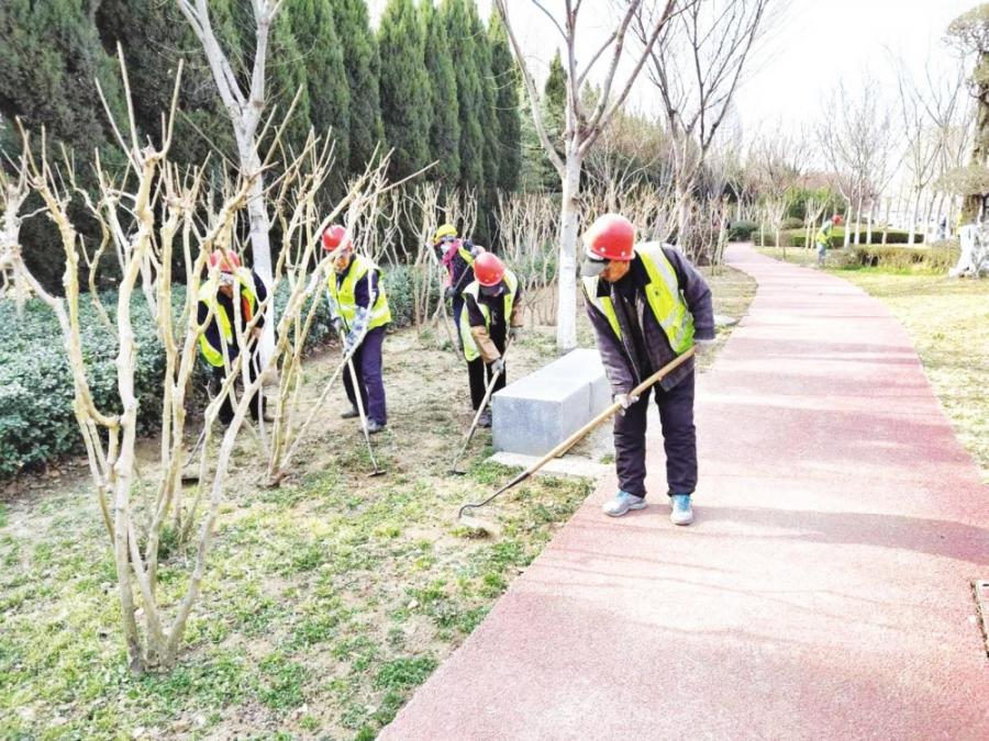 春风里，市区整理“妆容”！烟台市区春季绿化补植苗木1775株