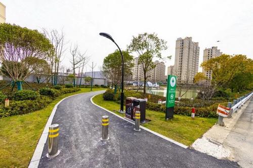 平湖市街头多处绿化容貌升级